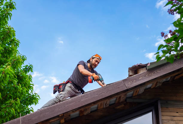 Best Roof Insulation Installation  in Dobson, NC