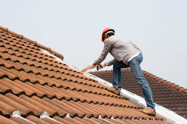 Best Asphalt Shingle Roofing  in Dobson, NC