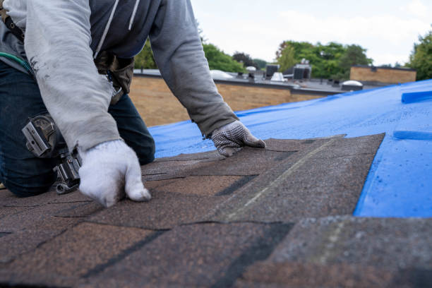 Best Asphalt Shingles Roofing  in Dobson, NC