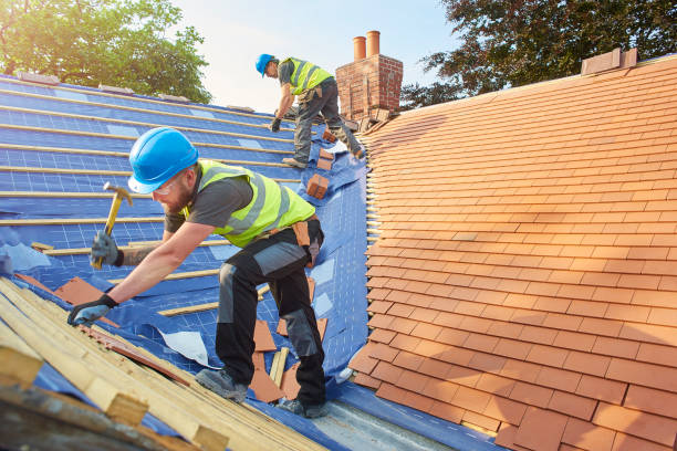 Best Solar Panel Roofing Installation  in Dobson, NC